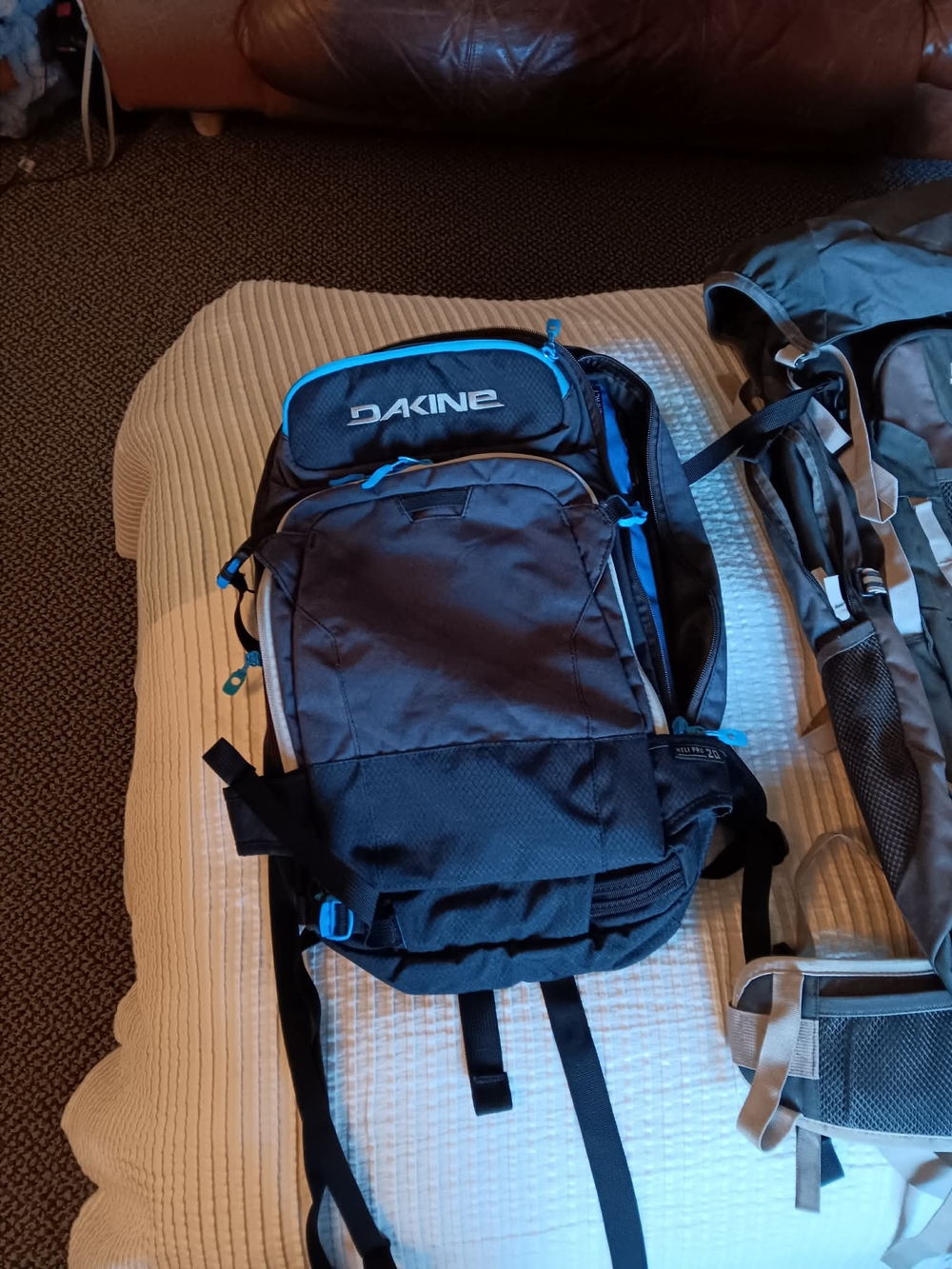 Dakine Black and Blue Daypack Backpack